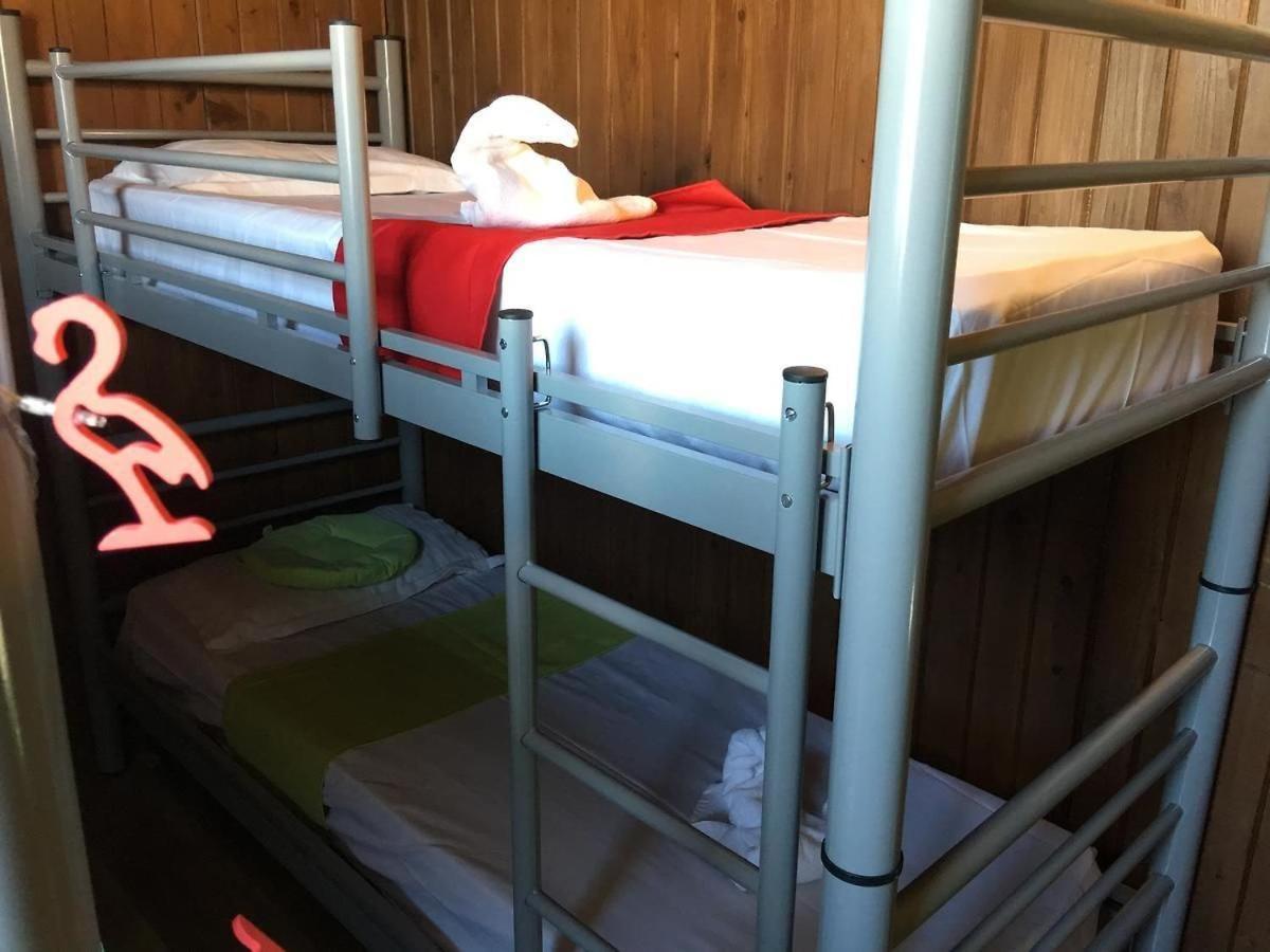 Hostel Flamingo คอสติเนช ภายนอก รูปภาพ